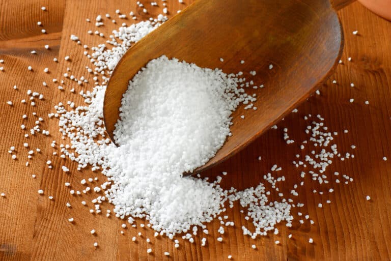 The 5 Absolute Best Kosher Salts [Of 2024]