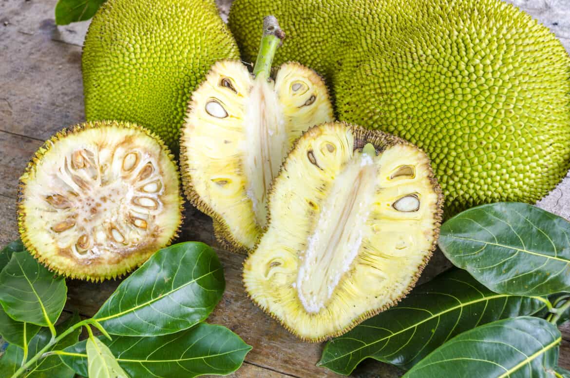 Jackfruit Vs Durian What's The Difference? Foods Guy