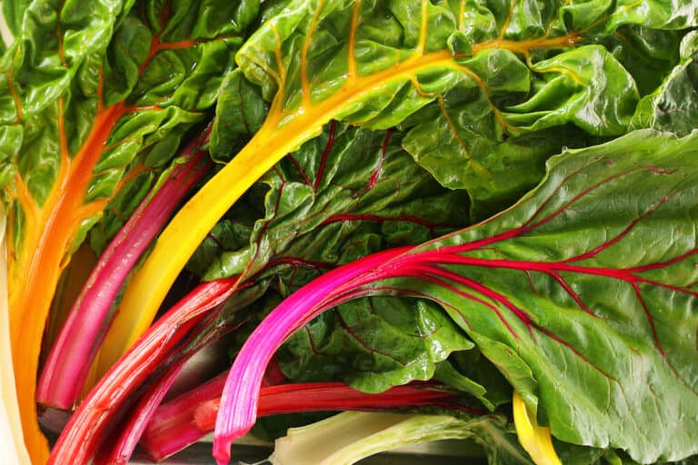 The Best Substitute For Swiss Chard
