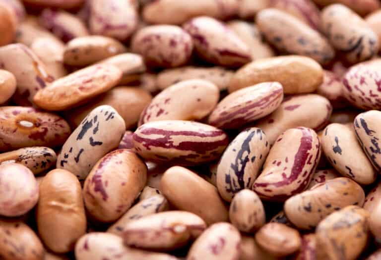 The Best Substitute For Pinto Beans