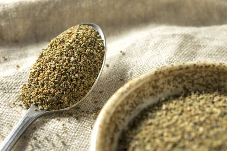 The Best Substitutes For Celery Seed