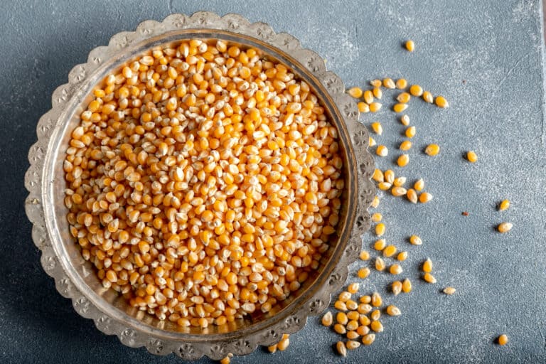 popping corn kernels