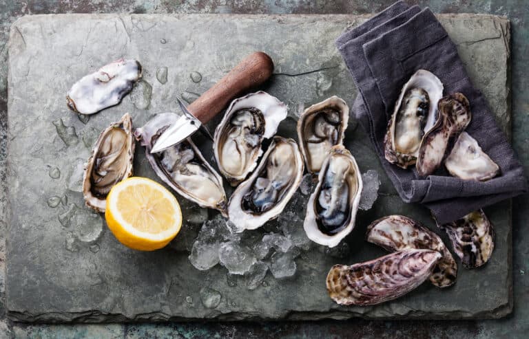 9 Best Oyster Knives Of 2024