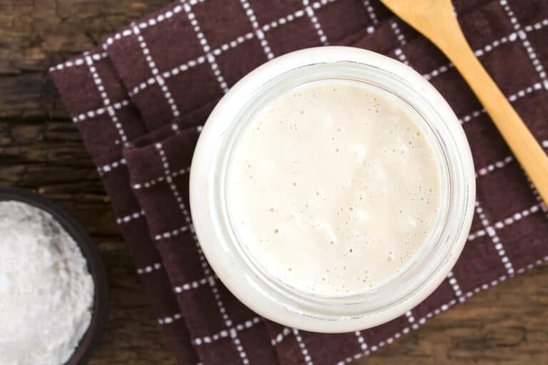 Can I Use Sourdough Starter Straight From The Fridge?