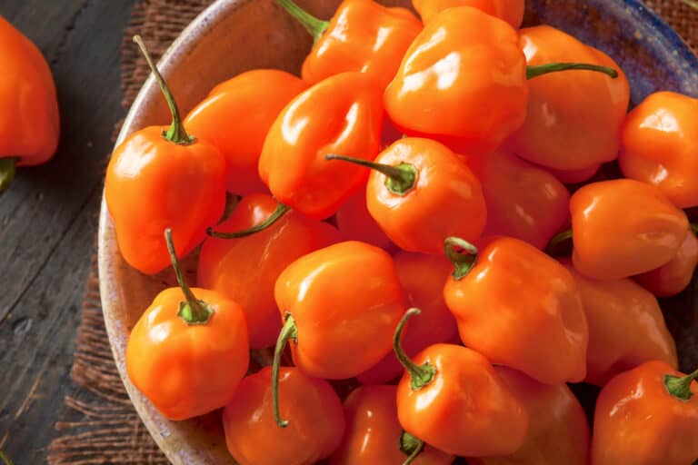 7 Best Habanero Hot Sauces Of 2024