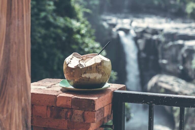 What Is Pressed Coconut Water? – The Ultimate Guide