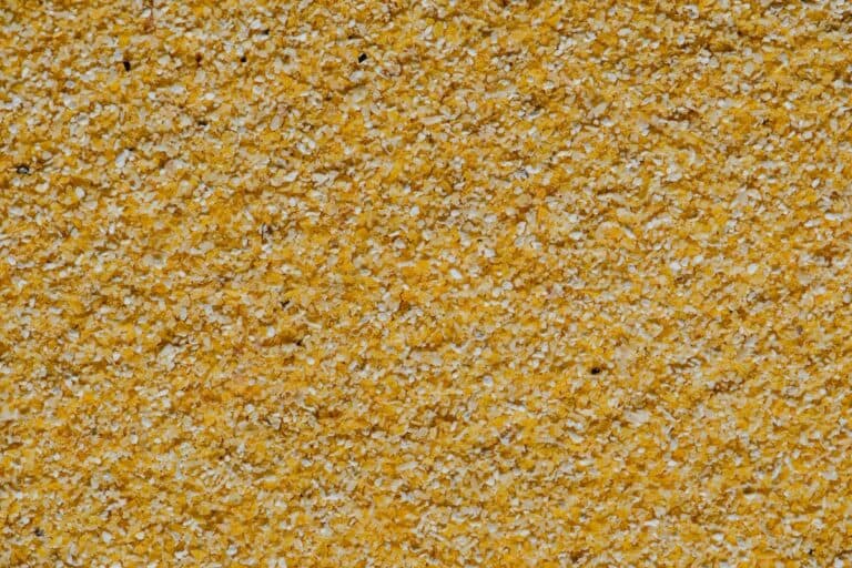 The 9 Best Substitutes For Cornmeal