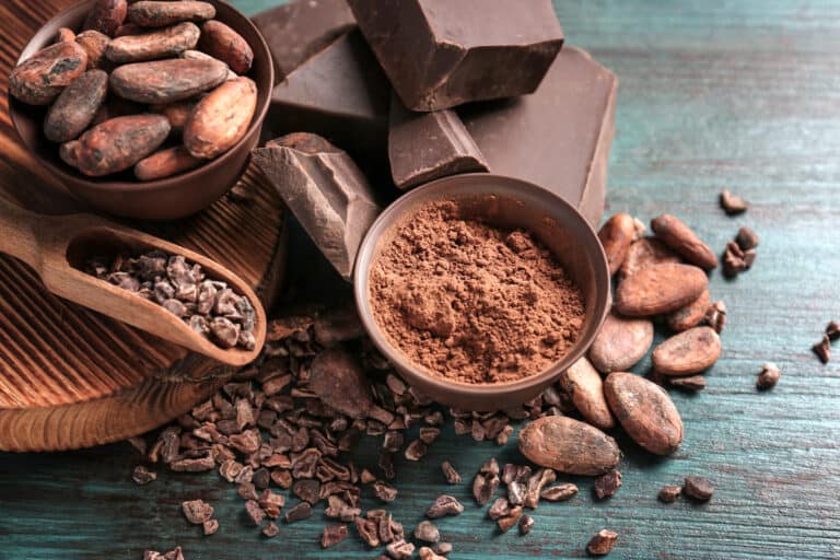 Is Cocoa Powder Vegan?