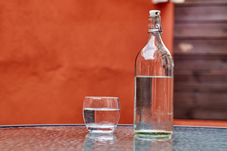 What Does Moonshine Taste Like? – The Ultimate Guide