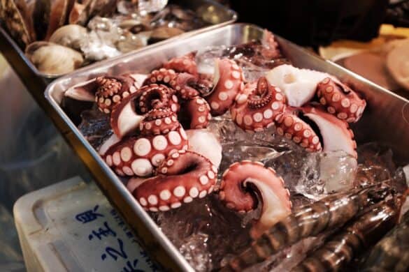 What Does Octopus Taste Like Foods Guy