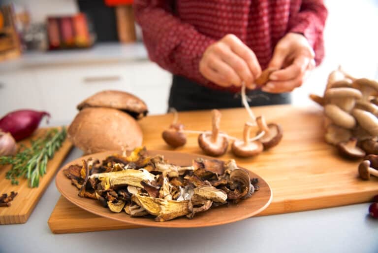 9 Best Mushroom Jerkies Of 2024