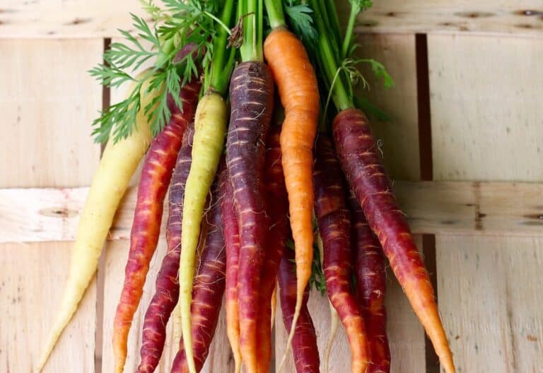 Can You Eat Green Carrots?