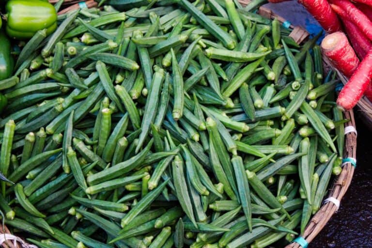 What Does Okra Taste Like?