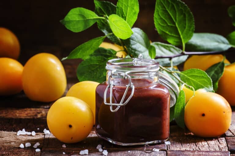 The 9 Best Plum Sauce Substitutes