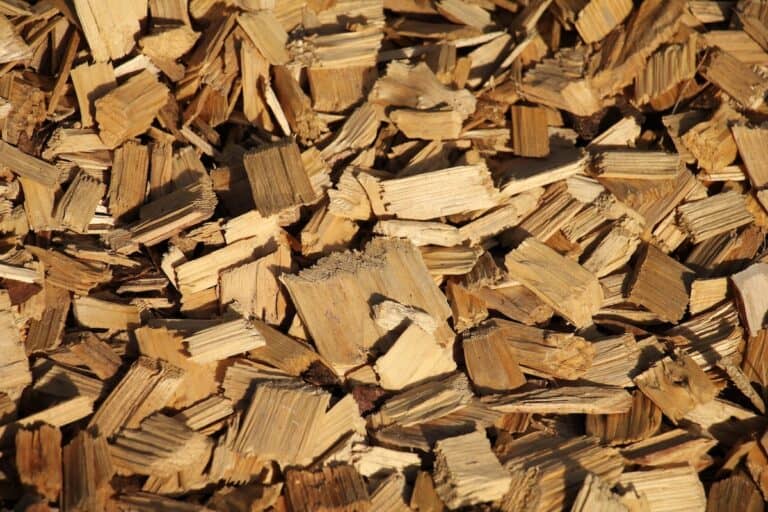 7 Best Woodchips For Smoking Of 2024