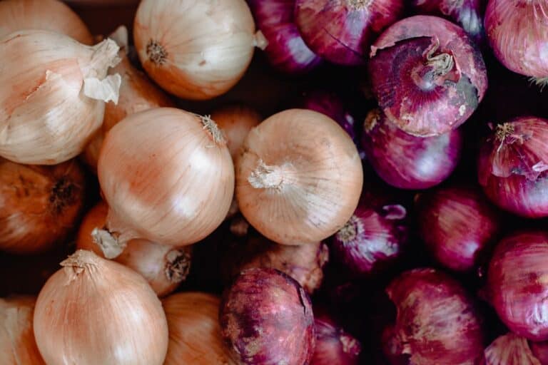 Are Onions Vegetables? – Everything You Need To Know