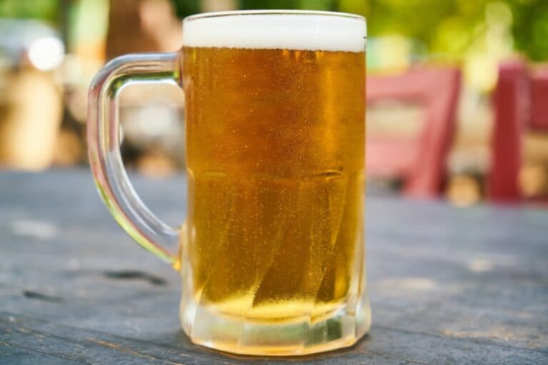 9 Best Freezer Mugs For Beer Of 2024