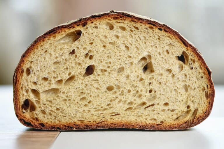 9 Best Proofing Boxes For Bread Of 2026