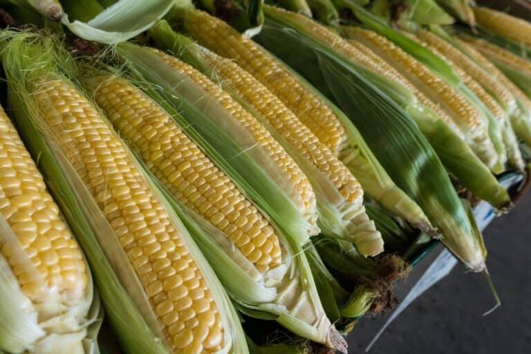 Does Corn Cause Constipation?