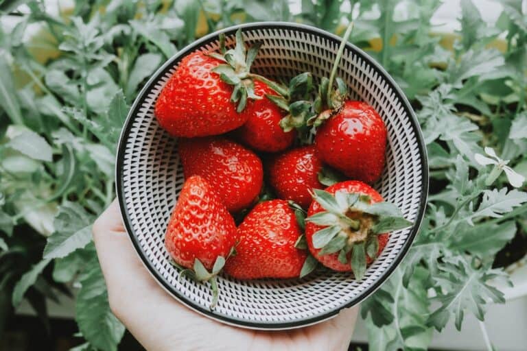 How To Make Candied Strawberries Without Corn Syrup