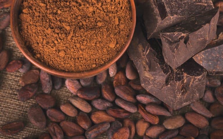 Cocoa for Baking: Its Differences from Other Chocolates