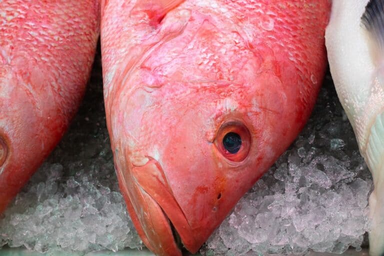 What Is Redfish? (And How To Cook It)