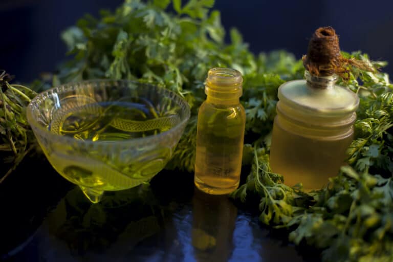 How To Make Cilantro Tea