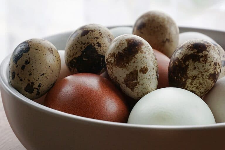 How To Cook Quail Eggs – The Ultimate Guide