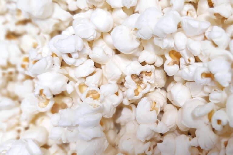 Is Popcorn Vegan? – And The Best Vegan Popcorns
