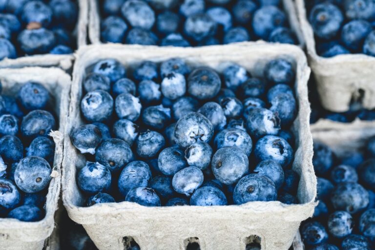 Do Blueberries Have Seeds?