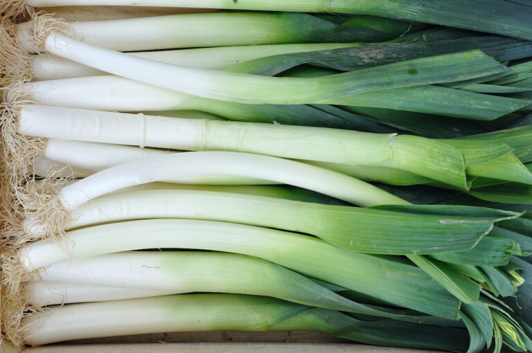 Can You Eat Raw Leeks?