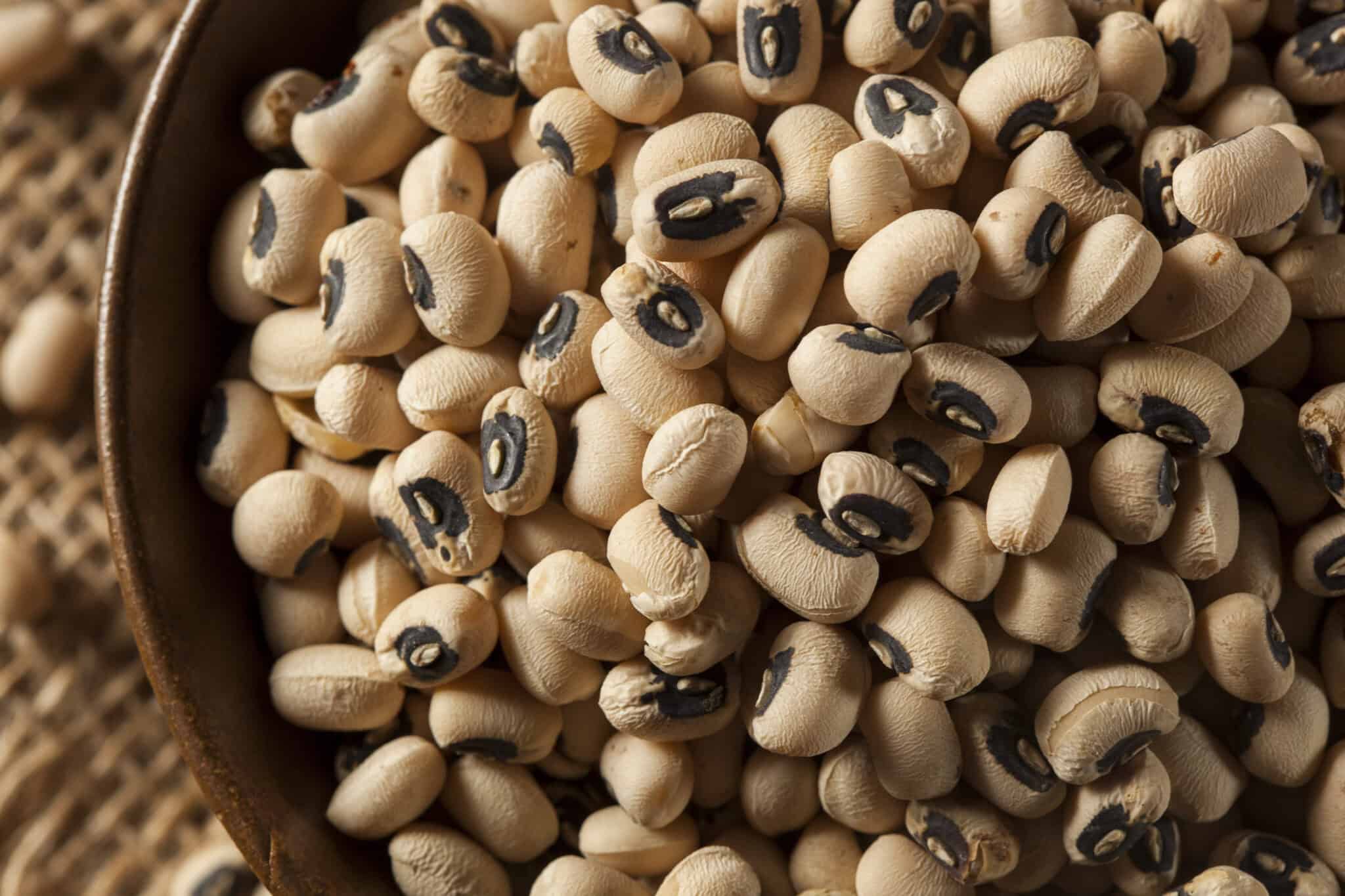 13 Best Beans for Vegetable Soup