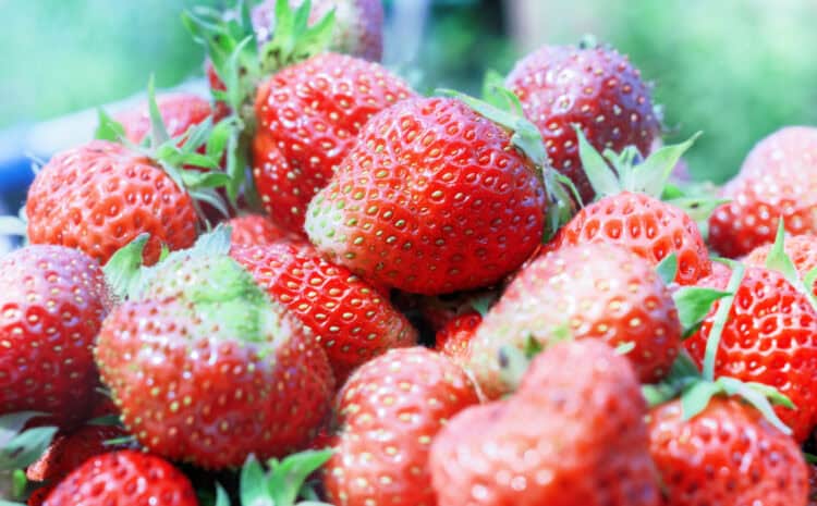 Are Strawberries Acidic? – What You Should Know - Foods Guy
