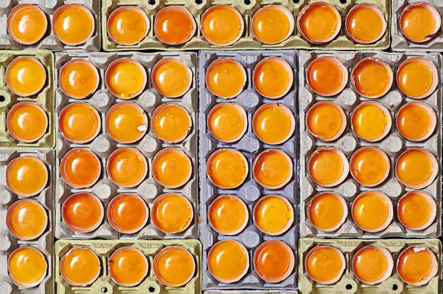 Can You Buy Just Egg Yolks? Here's the Best Places Foods Guy