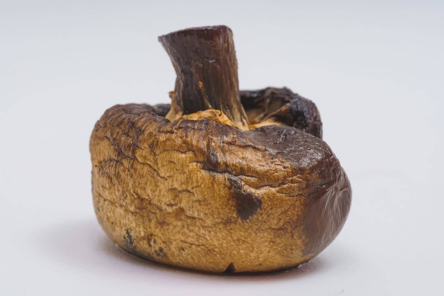 Mushrooms Smell Fishy What It Means Foods Guy